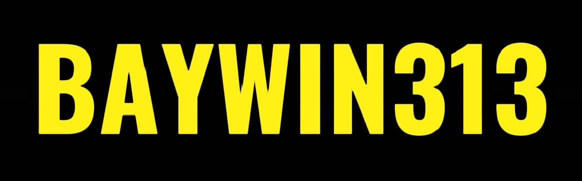 Logo BAYWIN313